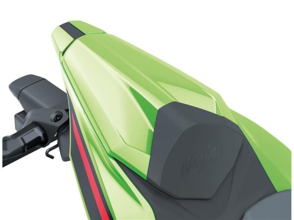 Pillion seat cover-image