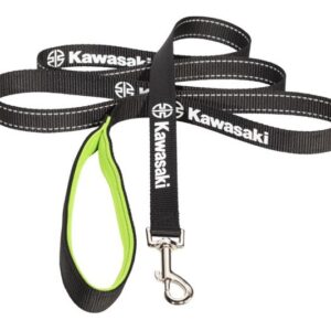 Dog Leash-image